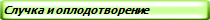 Случка и оплодотворение
